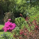 アパート Coquet Et Spacieux Appt 3 Dans Avec Terrasse Et Jardin ユリューニュ