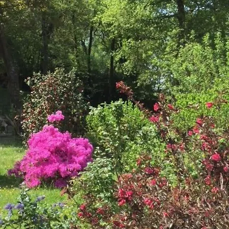 Appartamento Coquet Et Spacieux Appt 3 Dans Avec Terrasse Et Jardin Urrugne