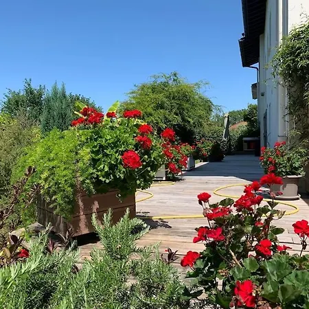 Coquet Et Spacieux Appt 3 Dans Avec Terrasse Et Jardin * Urrugne