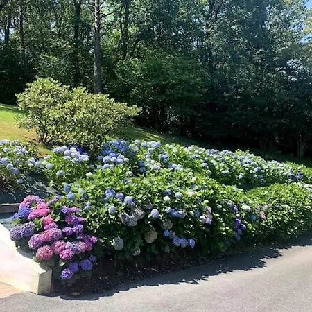 Coquet Et Spacieux Appt 3 Dans Avec Terrasse Et Jardin