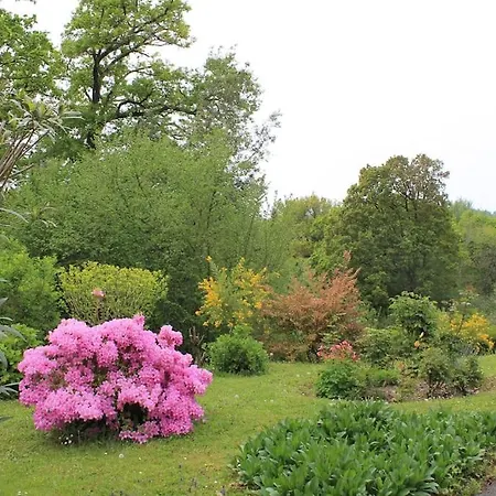 Appartamento Coquet Et Spacieux Appt 3 Dans Avec Terrasse Et Jardin