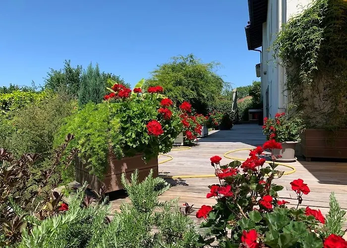 Coquet Et Spacieux Appt 3 Dans Avec Terrasse Et Jardin * Urrugne