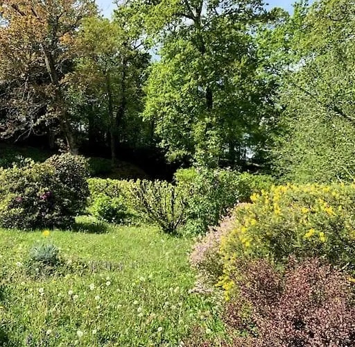 Coquet Et Spacieux Appt 3 Dans Avec Terrasse Et Jardin Lägenhet *